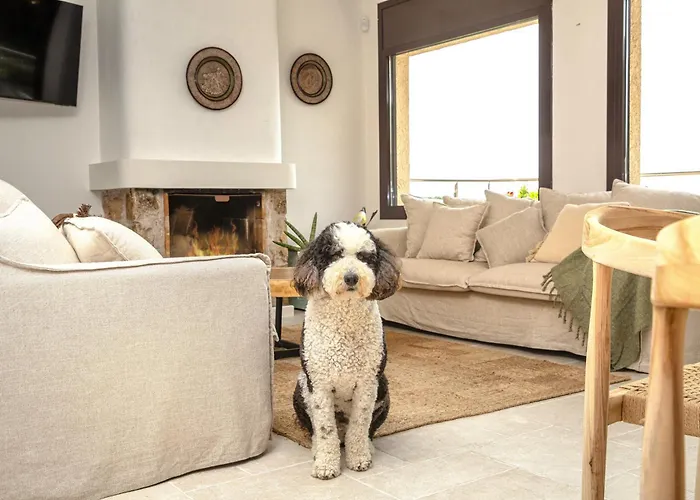 Holiday home Sea View Pool 2km To Cala Canyelles Fully Air Conditioned King Queen Quality Beds Bbq *